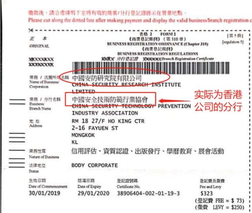 浙江省計算機信息系統集成協會與中國安全技術防范行業協會法人同一現象及其對行業的影響